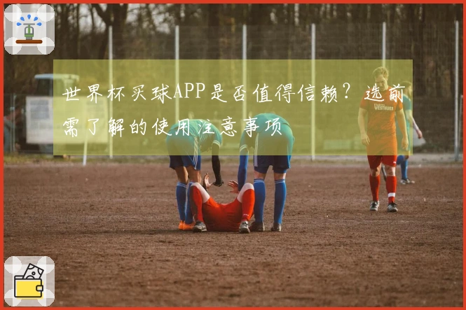 世界杯买球APP是否值得信赖？选前需了解的使用注意事项