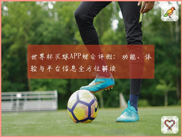 世界杯买球APP综合评测：功能、体验与平台信息全方位解读