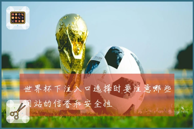 世界杯下注入口选择时要注意哪些网站的信誉和安全性