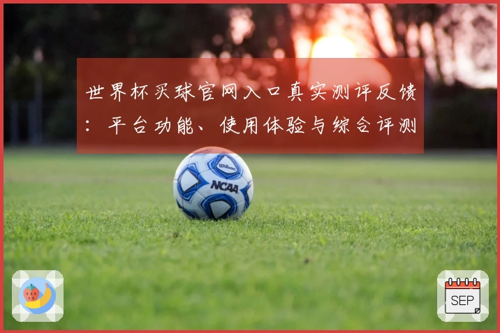 世界杯买球官网入口真实测评反馈：平台功能、使用体验与综合评测全方位解读