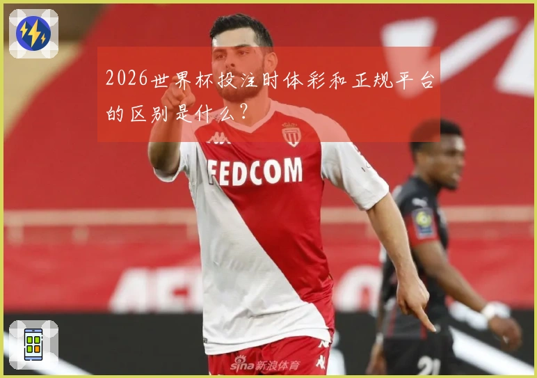 2026世界杯投注时体彩和正规平台的区别是什么？