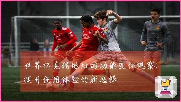 世界杯竞猜地址的功能变化观察：提升使用体验的新选择