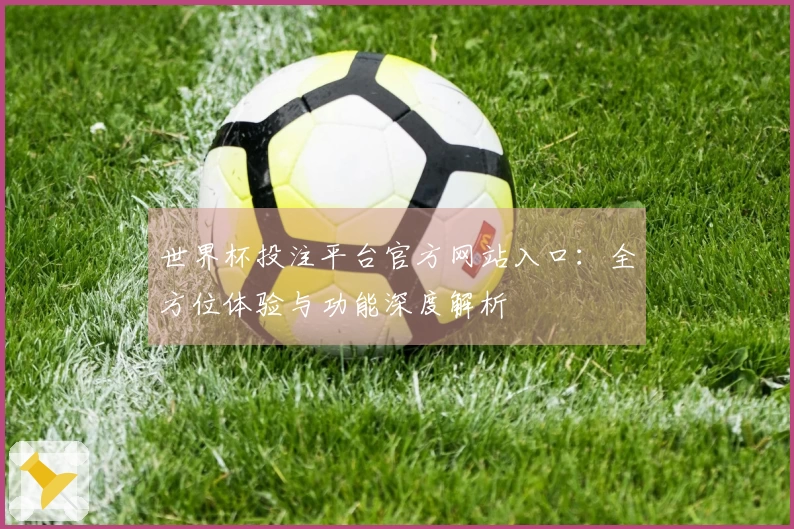 世界杯投注平台官方网站入口：全方位体验与功能深度解析
