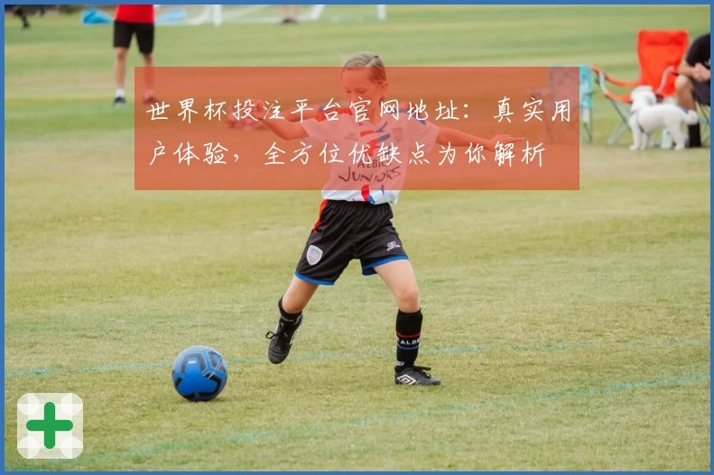 世界杯投注平台官网地址：真实用户体验，全方位优缺点为你解析