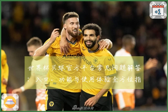 世界杯买球官方平台常见问题解答：入口、功能与使用体验全方位指南