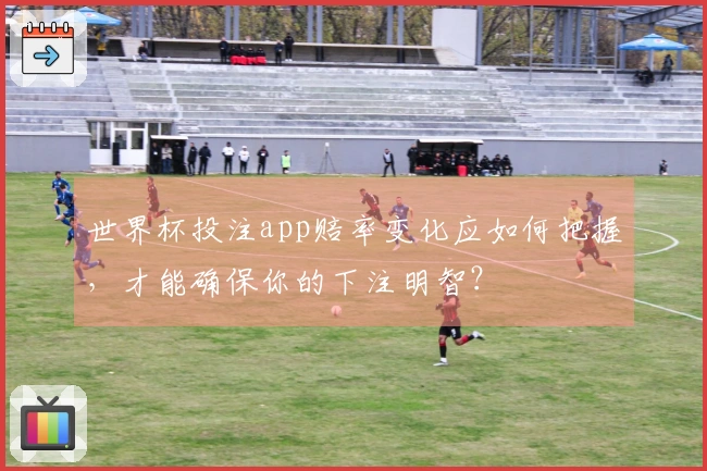 世界杯投注app赔率变化应如何把握，才能确保你的下注明智？