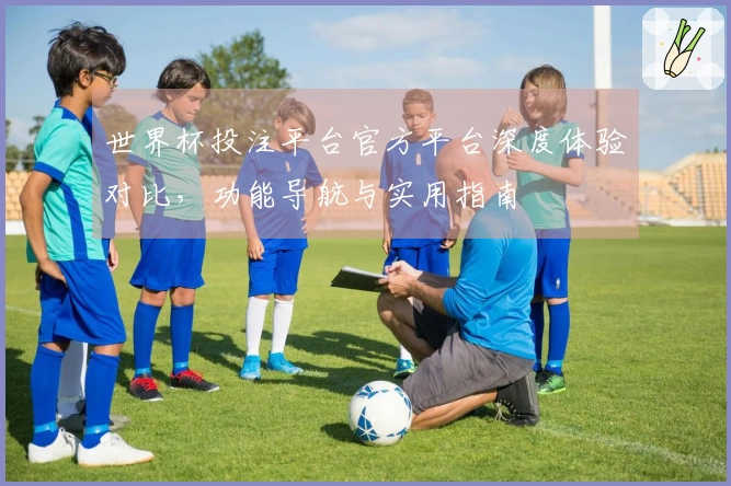 世界杯投注平台官方平台深度体验对比，功能导航与实用指南