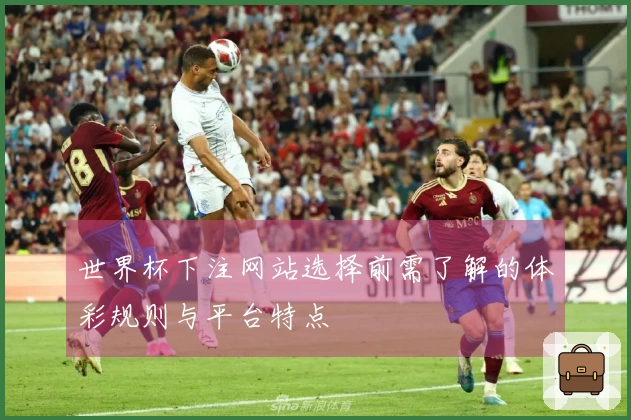 世界杯下注网站选择前需了解的体彩规则与平台特点