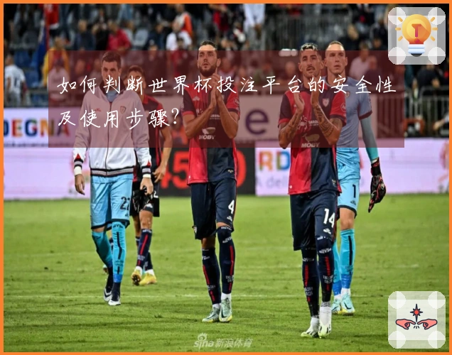 如何判断世界杯投注平台的安全性及使用步骤？