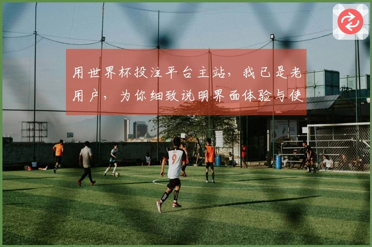 用世界杯投注平台主站，我已是老用户，为你细致说明界面体验与使用心得