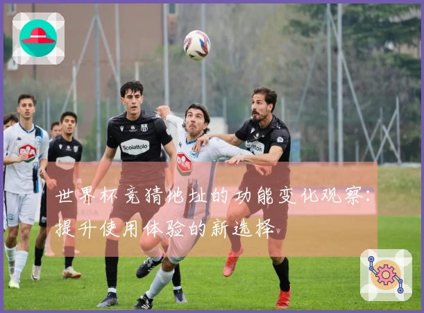 世界杯竞猜地址的功能变化观察：提升使用体验的新选择